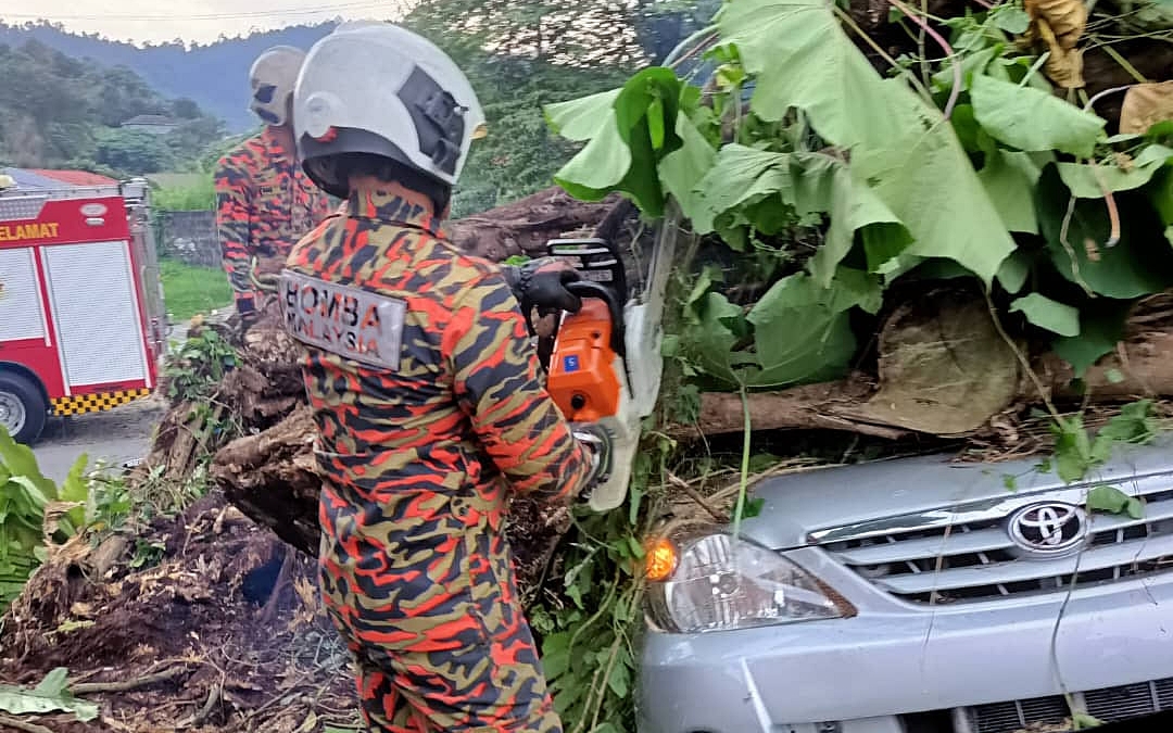 Dua Maut Dihempap Pokok Tumbang Di Ampang Edisi 9